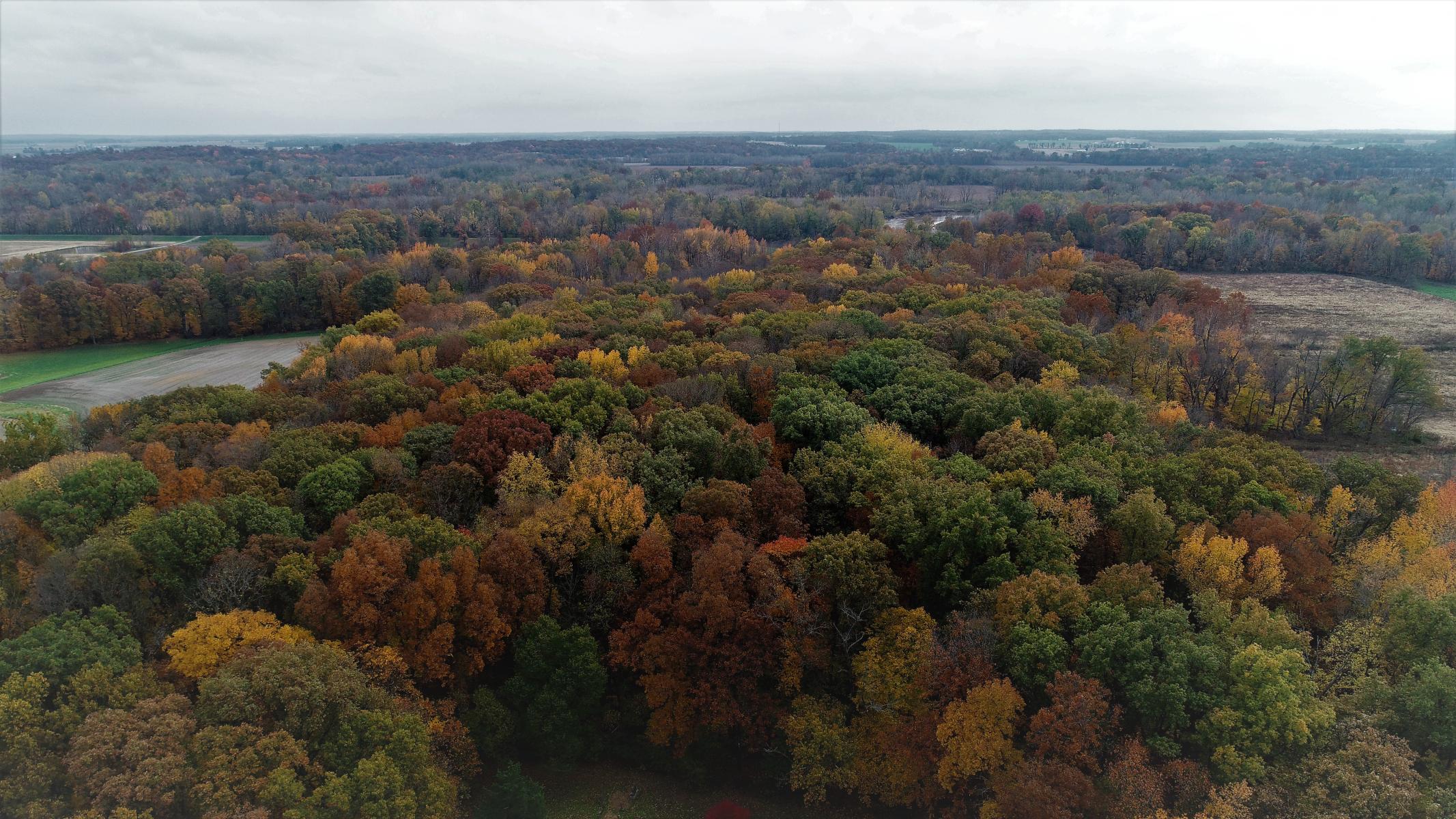 Oblong IL Drone Photography