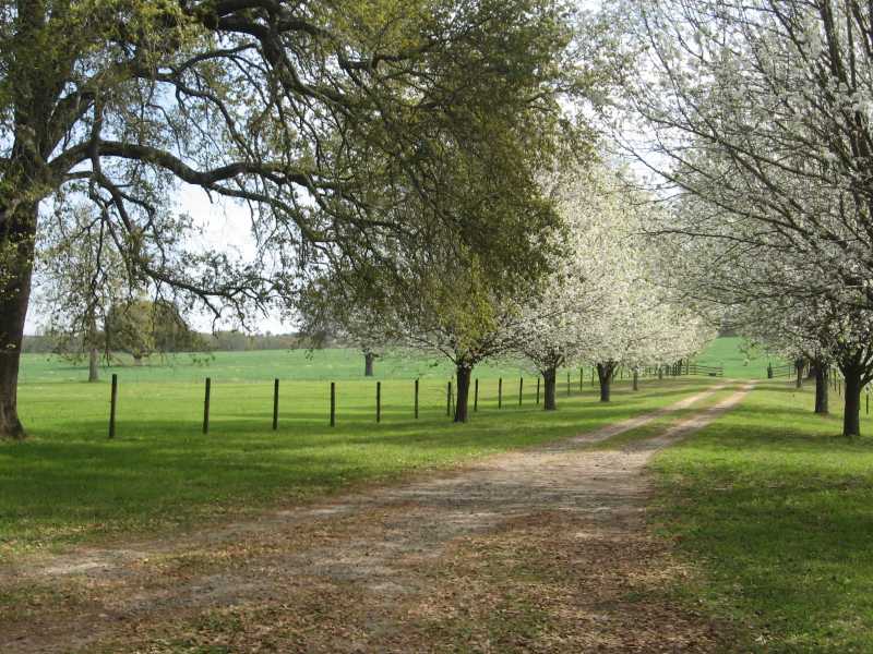 Pavo GA Drone Photography