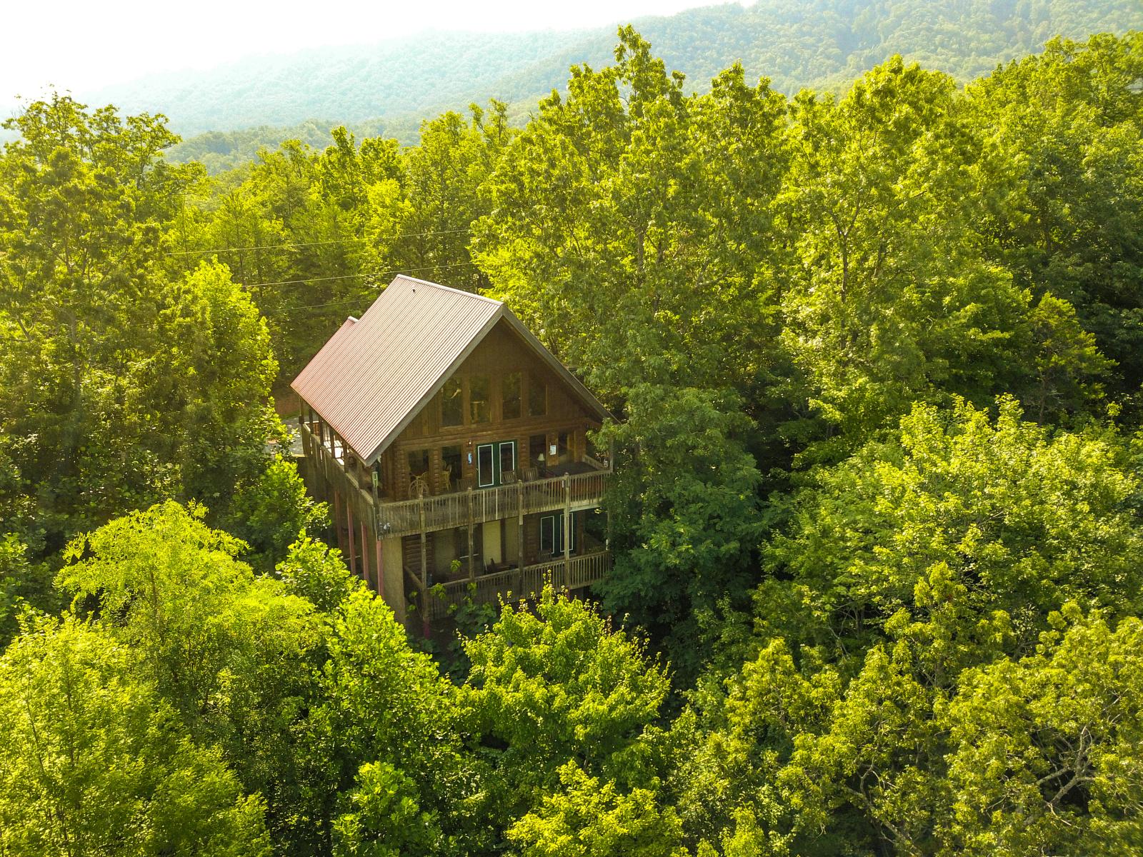 Pigeon TN Drone Photography