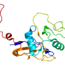 Protein structure of Thyroglobulin