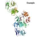 Protein structure of 99mTc-14 F7 Mab