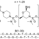 Protein structure of Eteplirsen