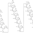 Protein structure of Fomivirsen