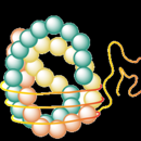Protein structure of Nonacog beta pegol