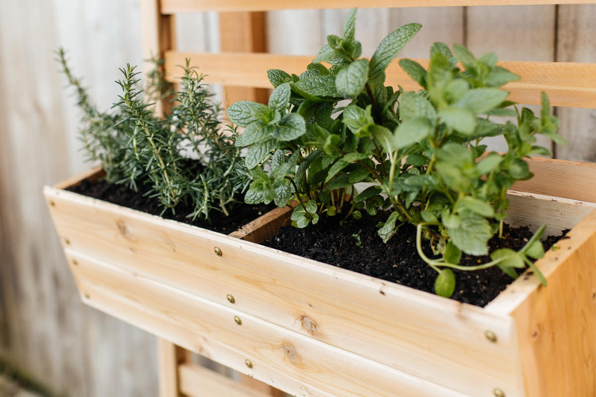 make a vertical planter at Seattle garden show make a vertical planter at Seattle garden show