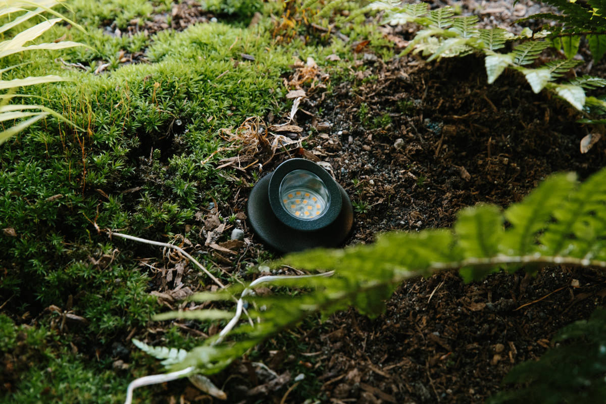 landscape lighting in ground landscape lighting in ground