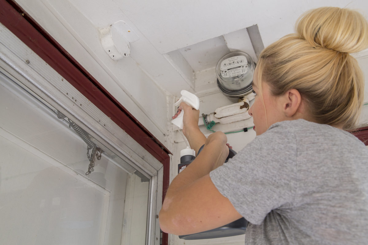 How to Treat Your Home's Exterior For Spiders