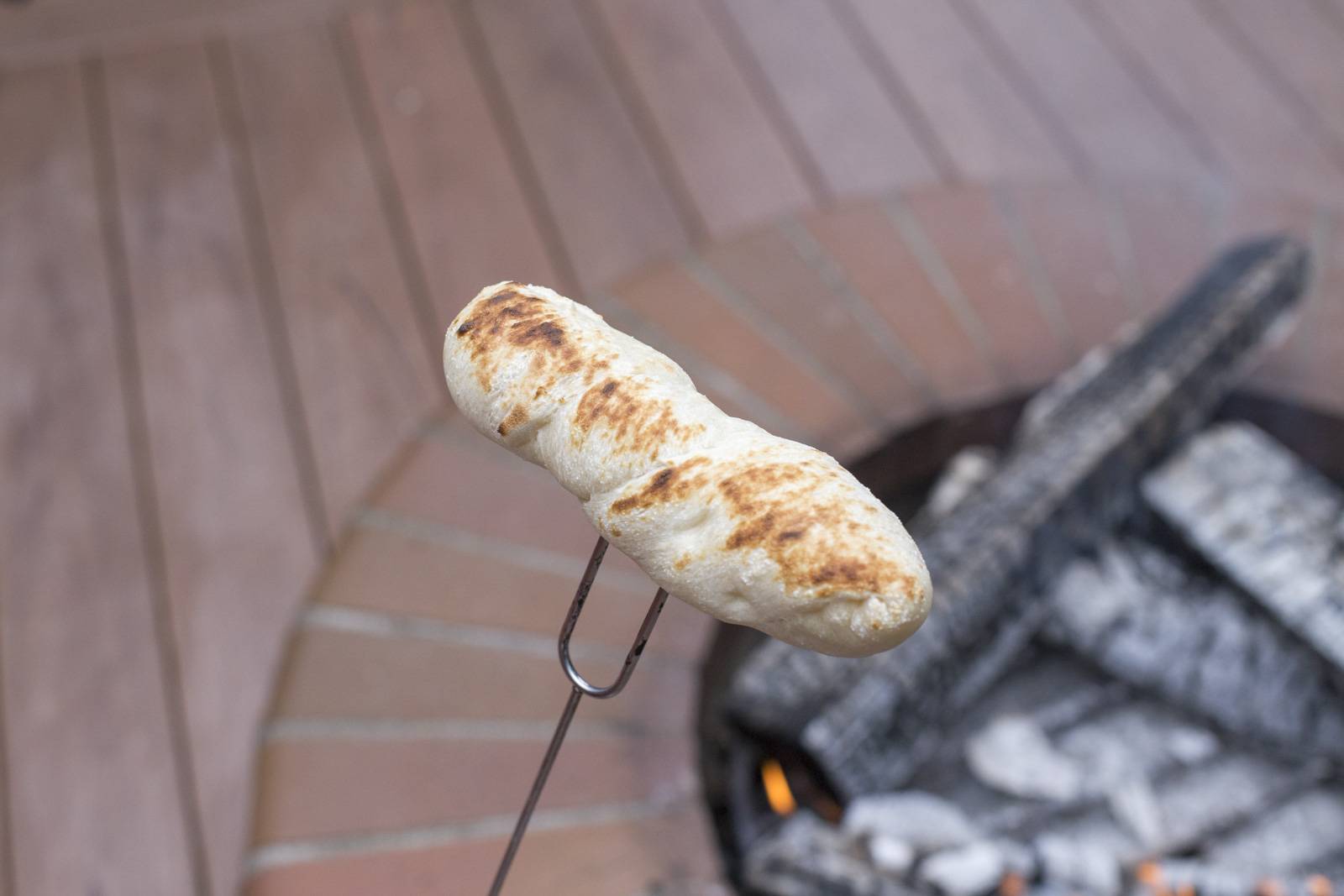 How To Roast Hot Dogs and Apples Outdoors DIY Recipes