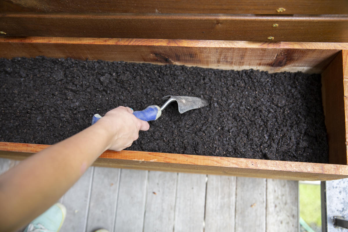 How to Garden in Planter Boxes: A Swansons Nursery and Dunn DIY