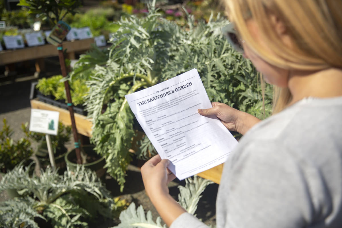 How to Make a DIY Cocktail Herb Garden