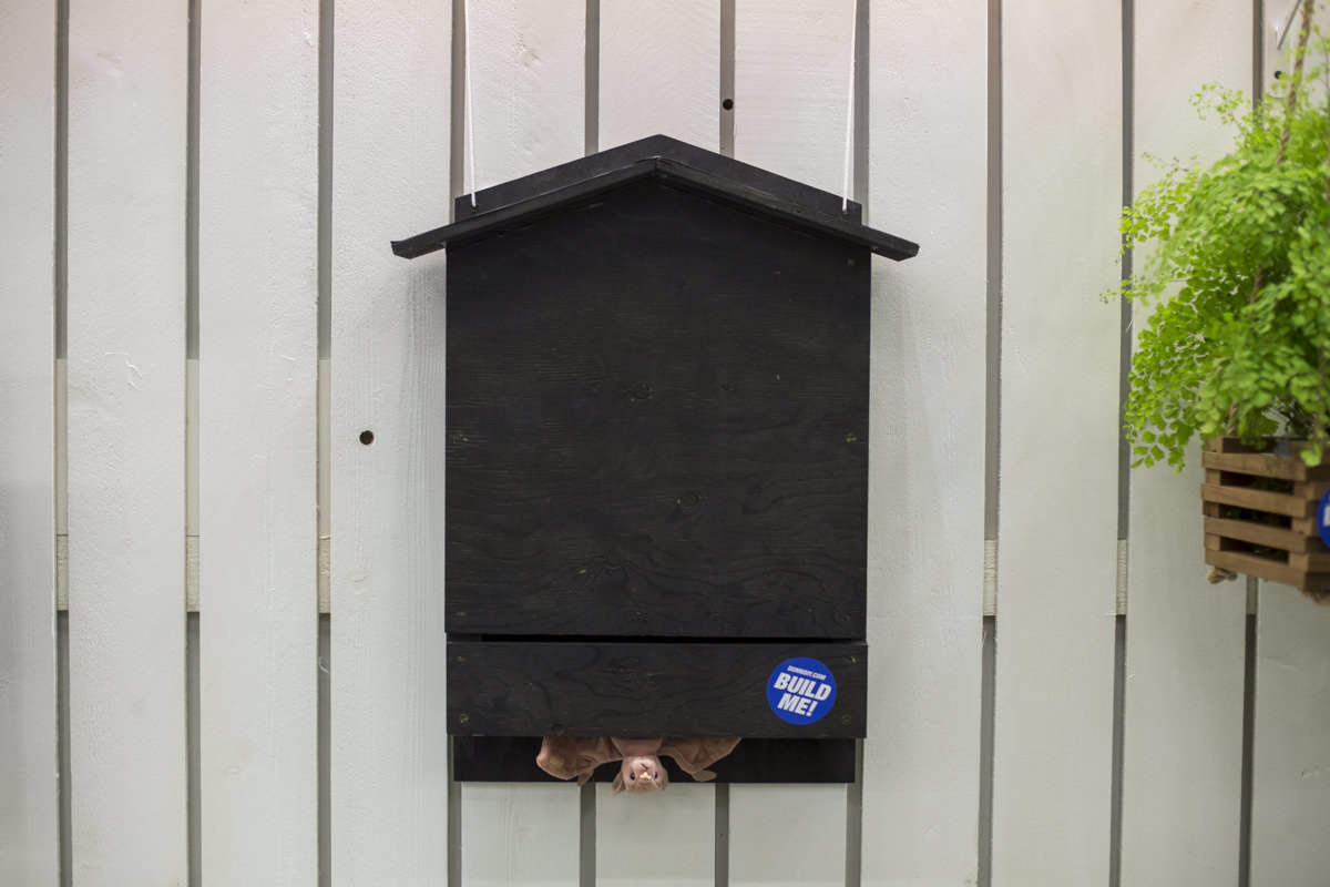 build a bat house at Seattle garden show build a bat house at Seattle garden show