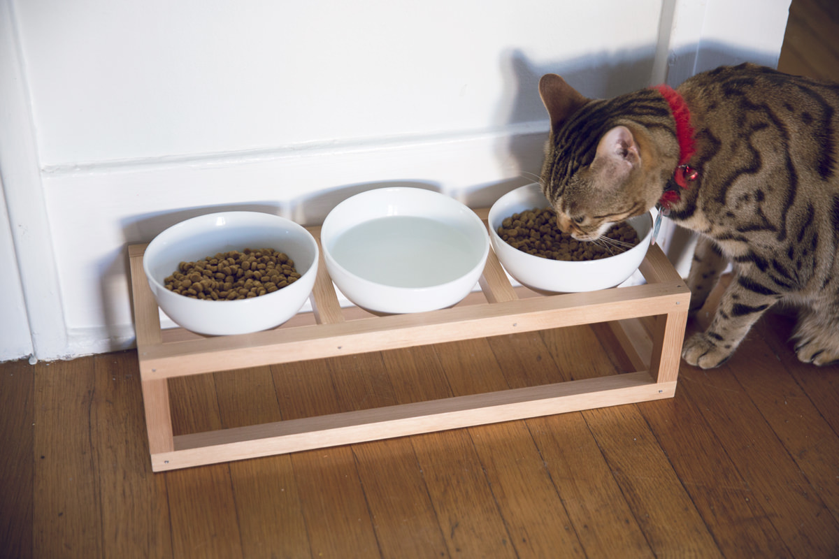 How to Make a DIY Pet Bowl Stand