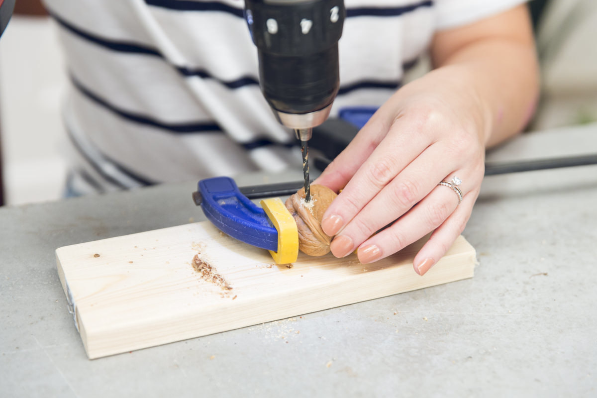 drilling a walnut drilling a walnut