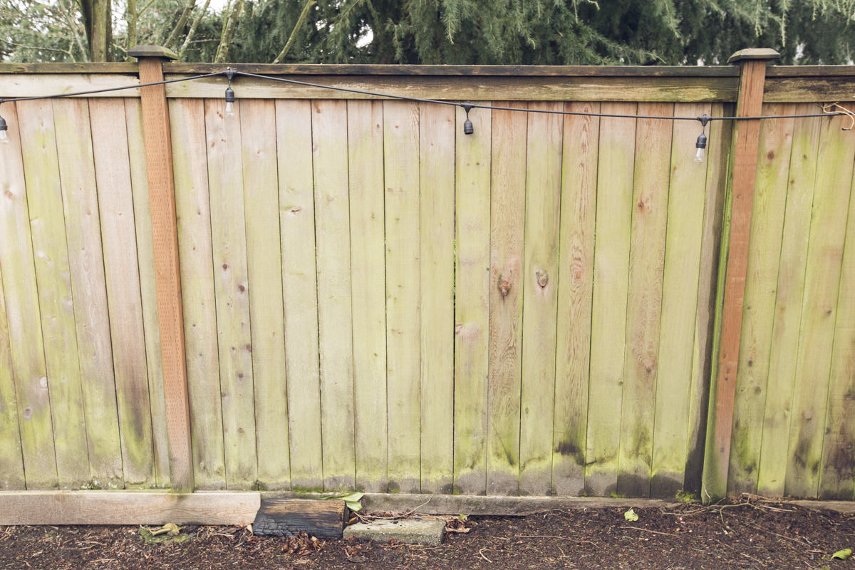 How to Refresh a Cedar Fence With Wet &