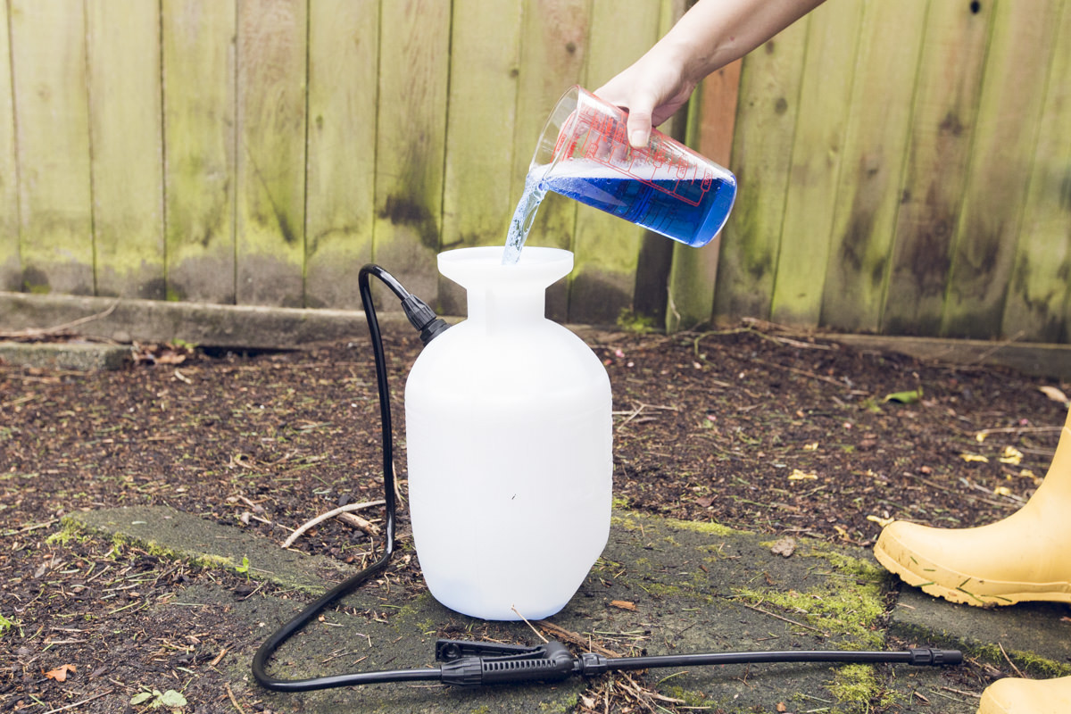 How to Refresh a Cedar Fence With Wet &