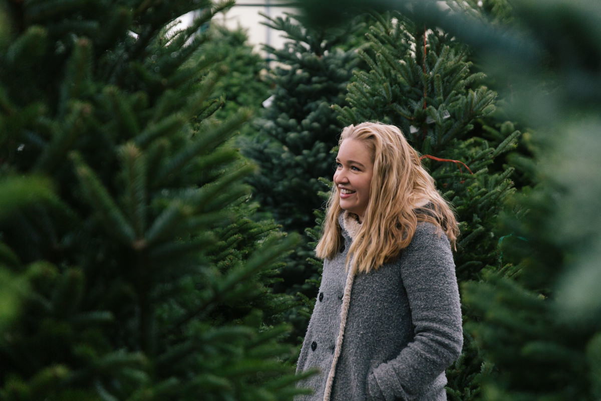 Christmas tree tips Christmas tree tips