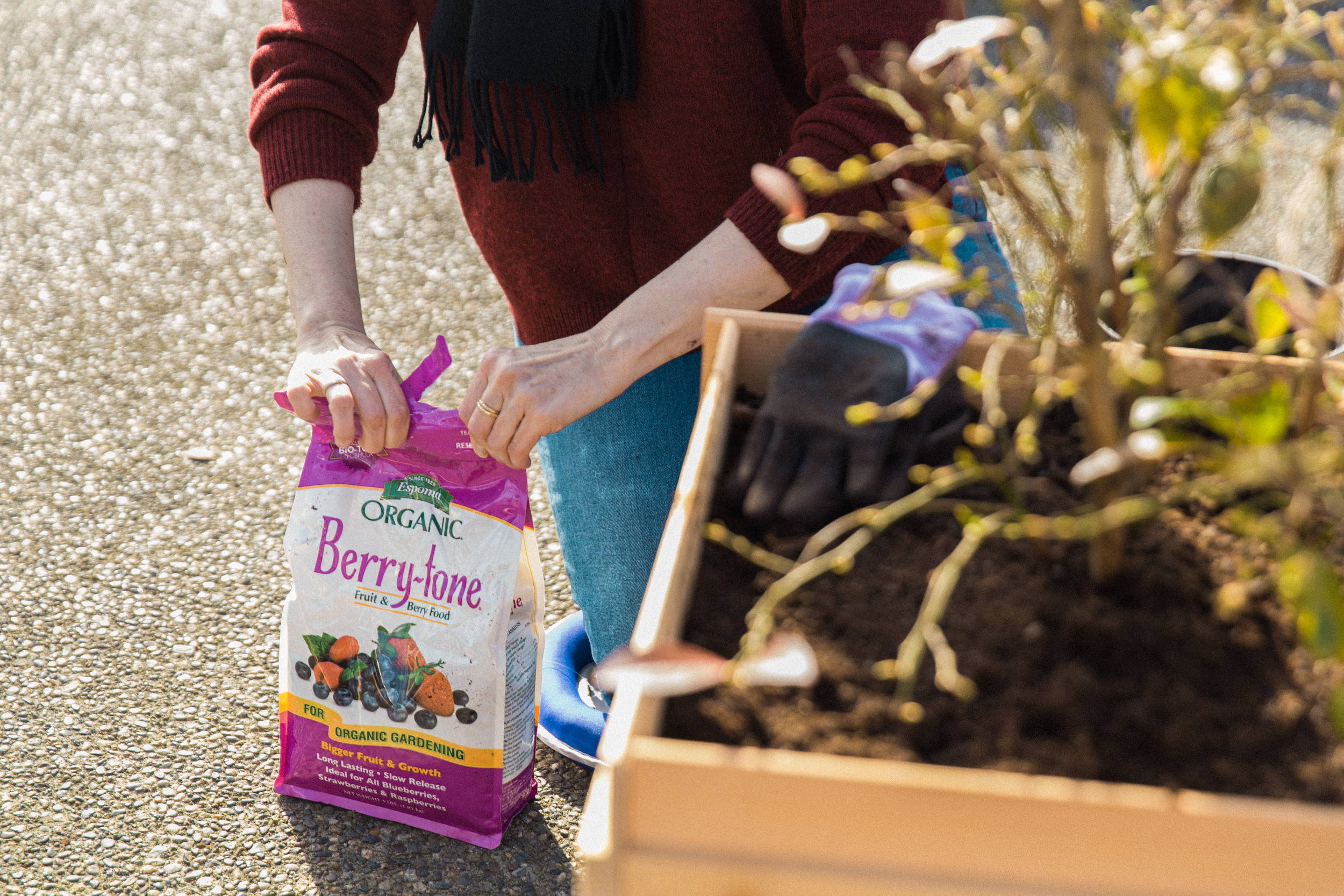 How to Garden in Planter Boxes: A Swansons Nursery and Dunn DIY