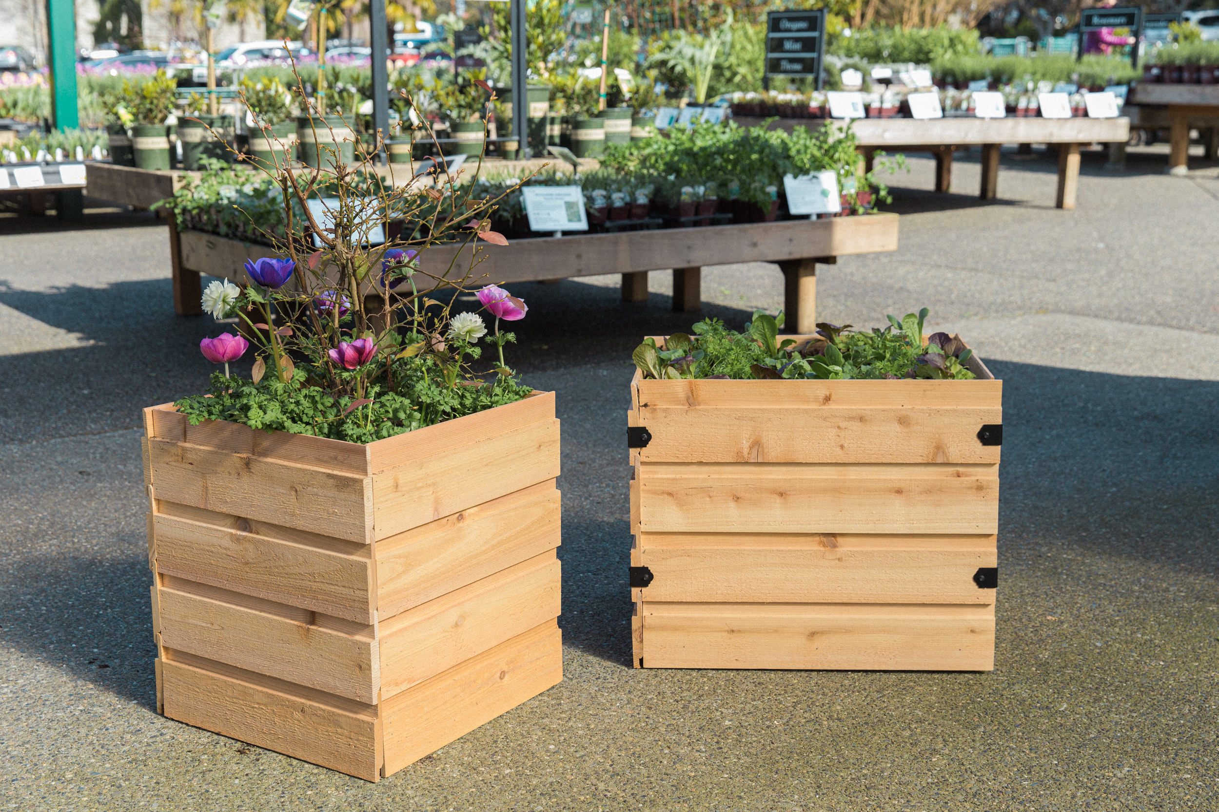 cedar planter boxes cedar planter boxes