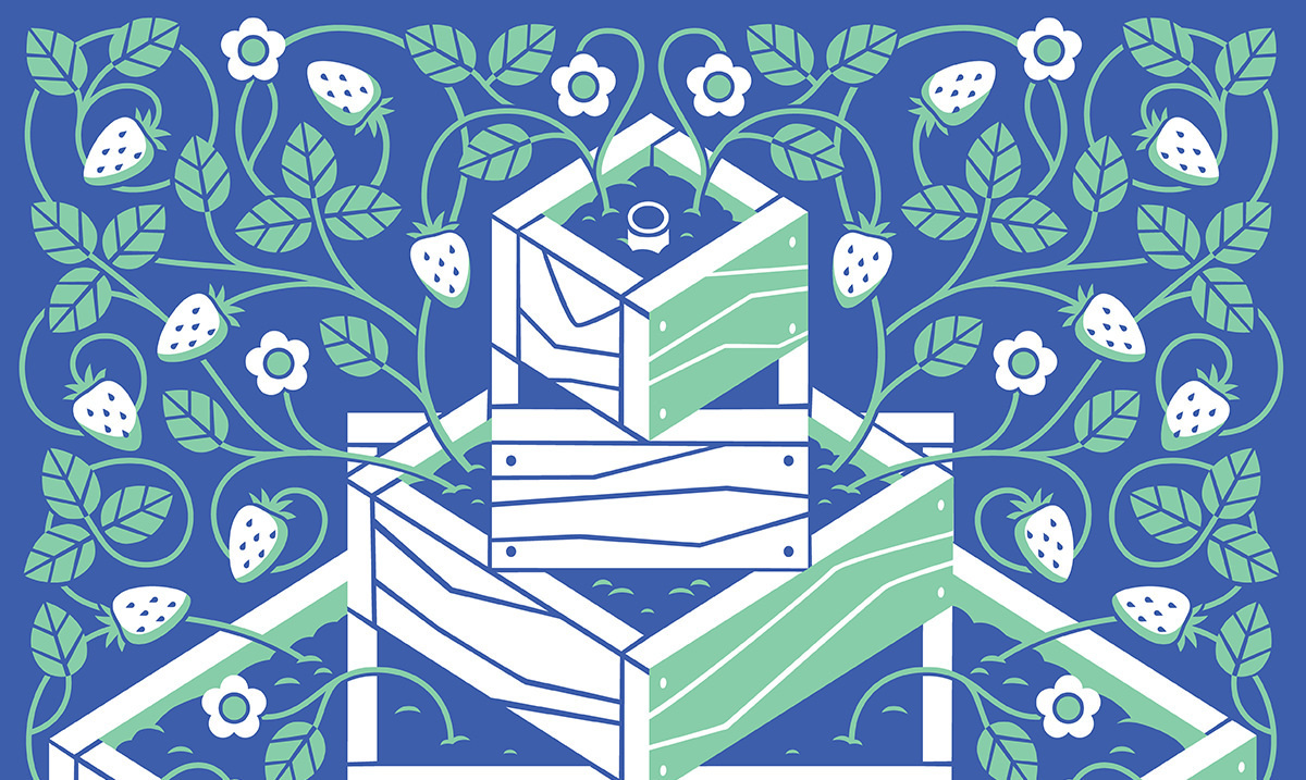 Growing Strawberries in the Pacific Northwest