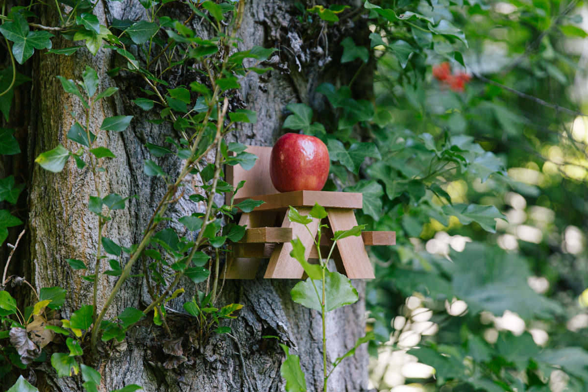 diy squirrel feeder diy squirrel feeder