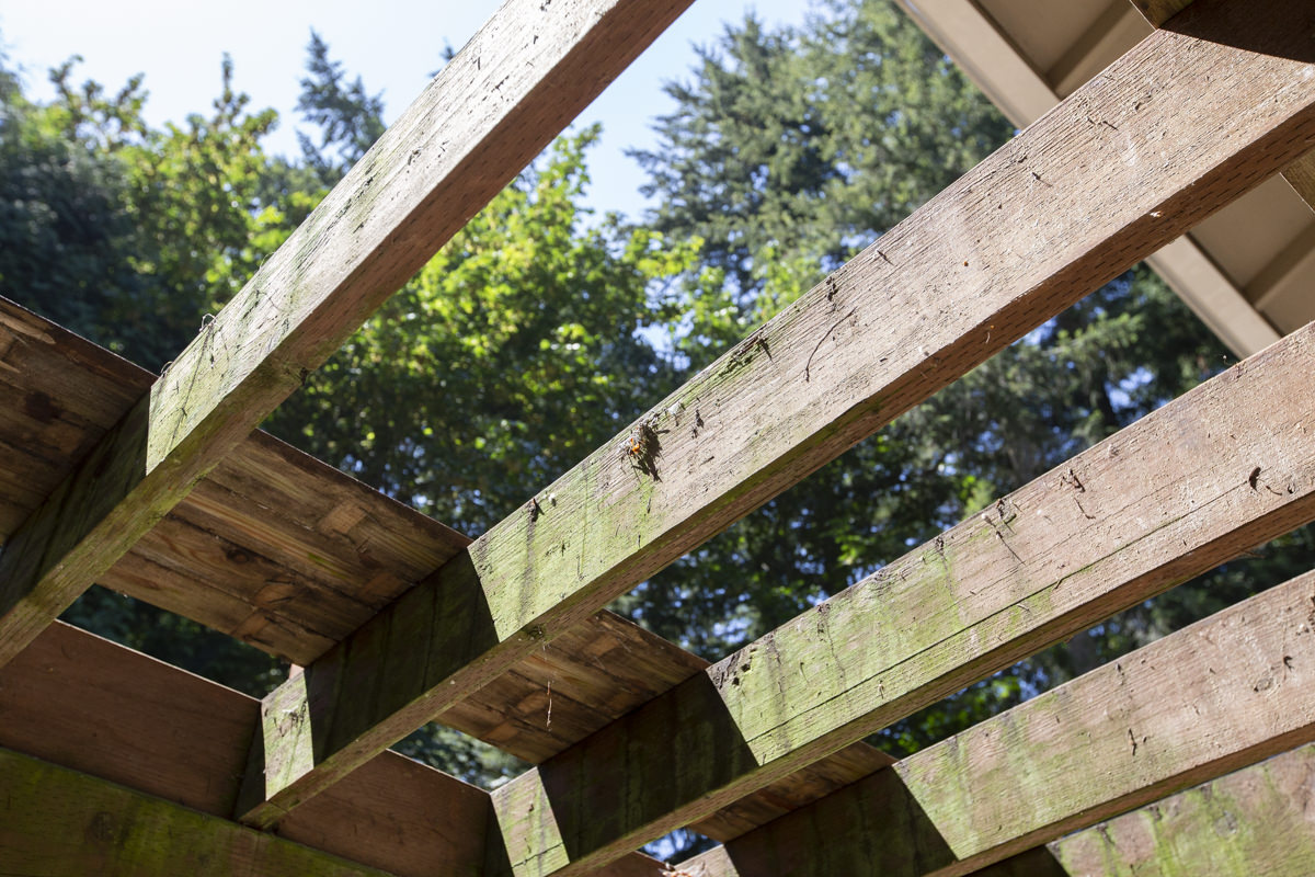 check your deck for split or decaying wood check your deck for split or decaying wood