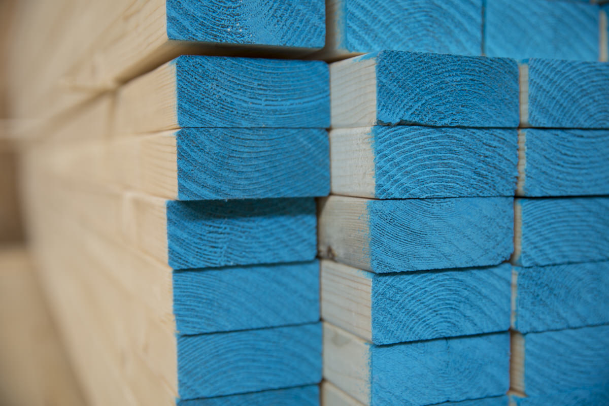 HighQuality Lumber The Story Behind Our Signature BlueEnd Studs
