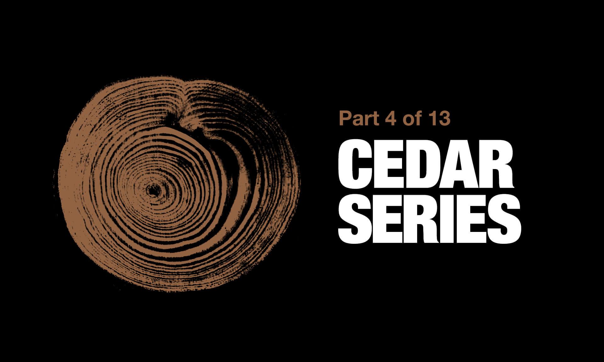 What’s the Difference Between Kilndried and Airdried Western Red Cedar?