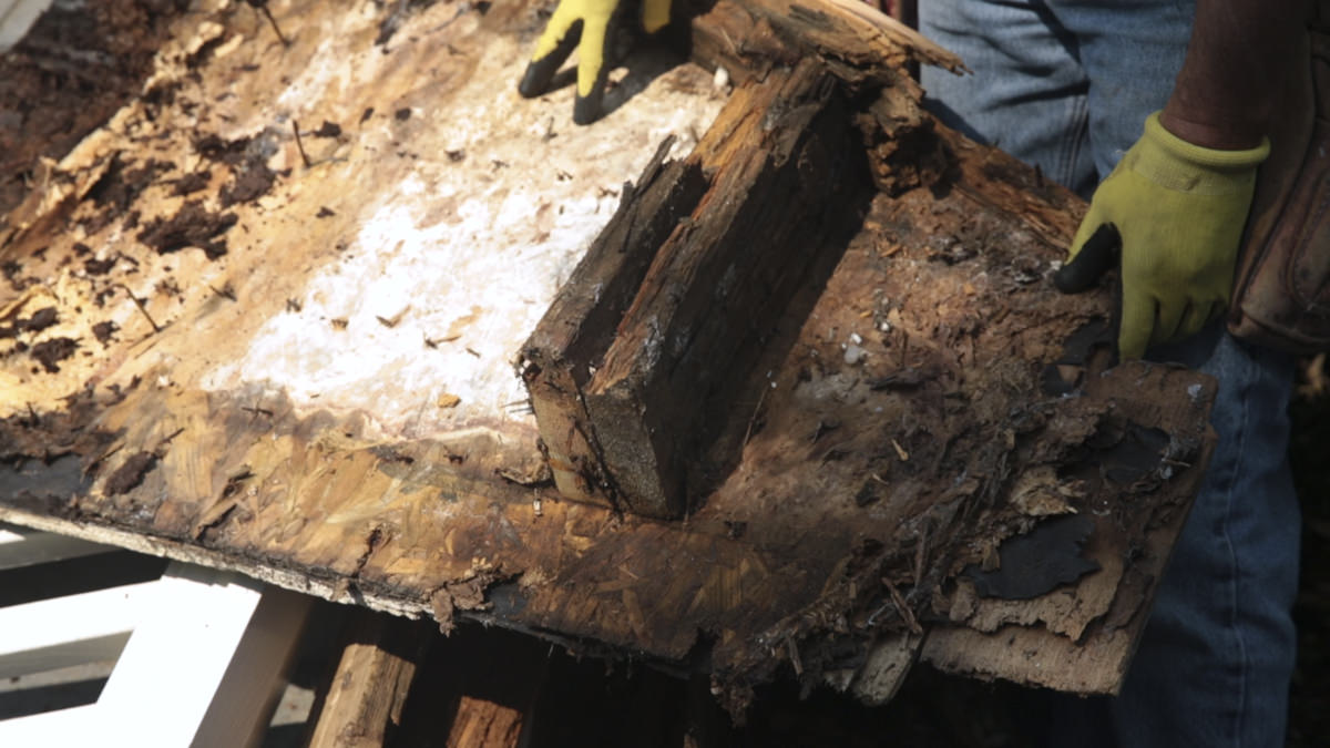 How to Prevent Rot and Decay