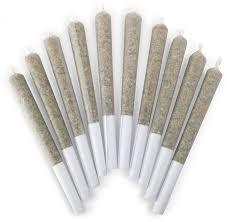 Doobies: Tricho Jordan