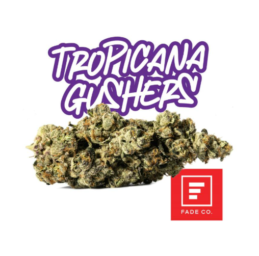 FADE CO. Tropicana Gushers 3.5g
