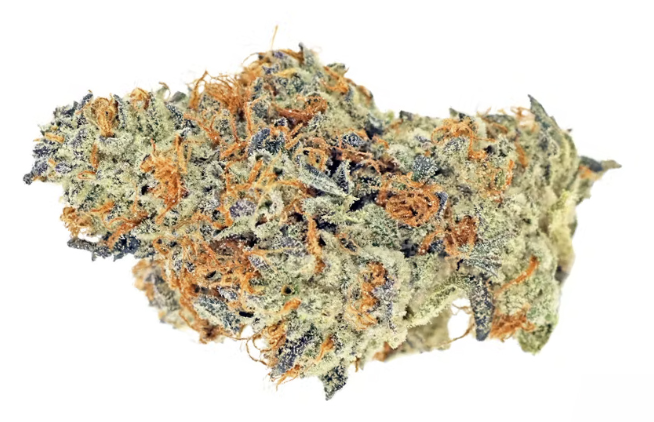 Cadillac Rainbow | Flower |