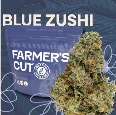 Blue Zushi - Flower - Farmer's Cut