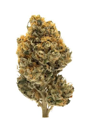 Green | Dolce De Papaya POPCORN 28g
