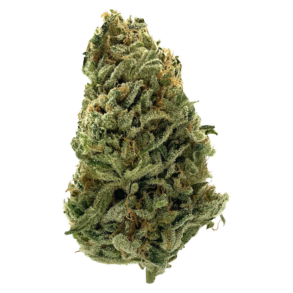 LowKey by MTL Cannabis - Haze - Hybrid