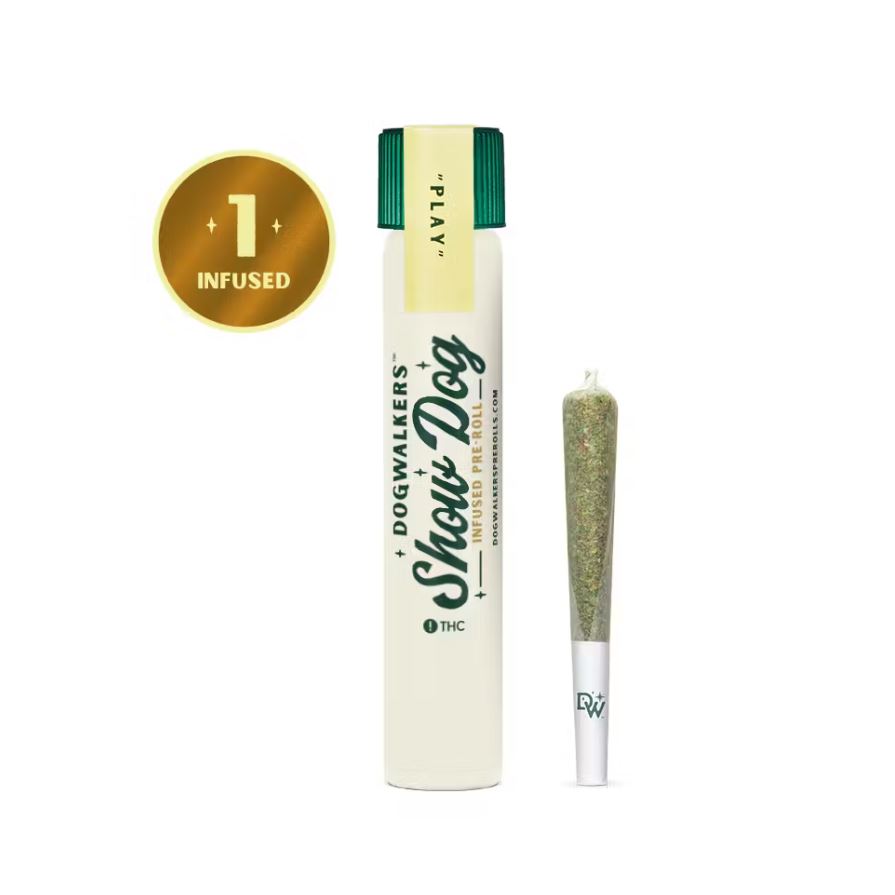 Infused 'Big Dog' Jack's Delight Pre-roll | 1g