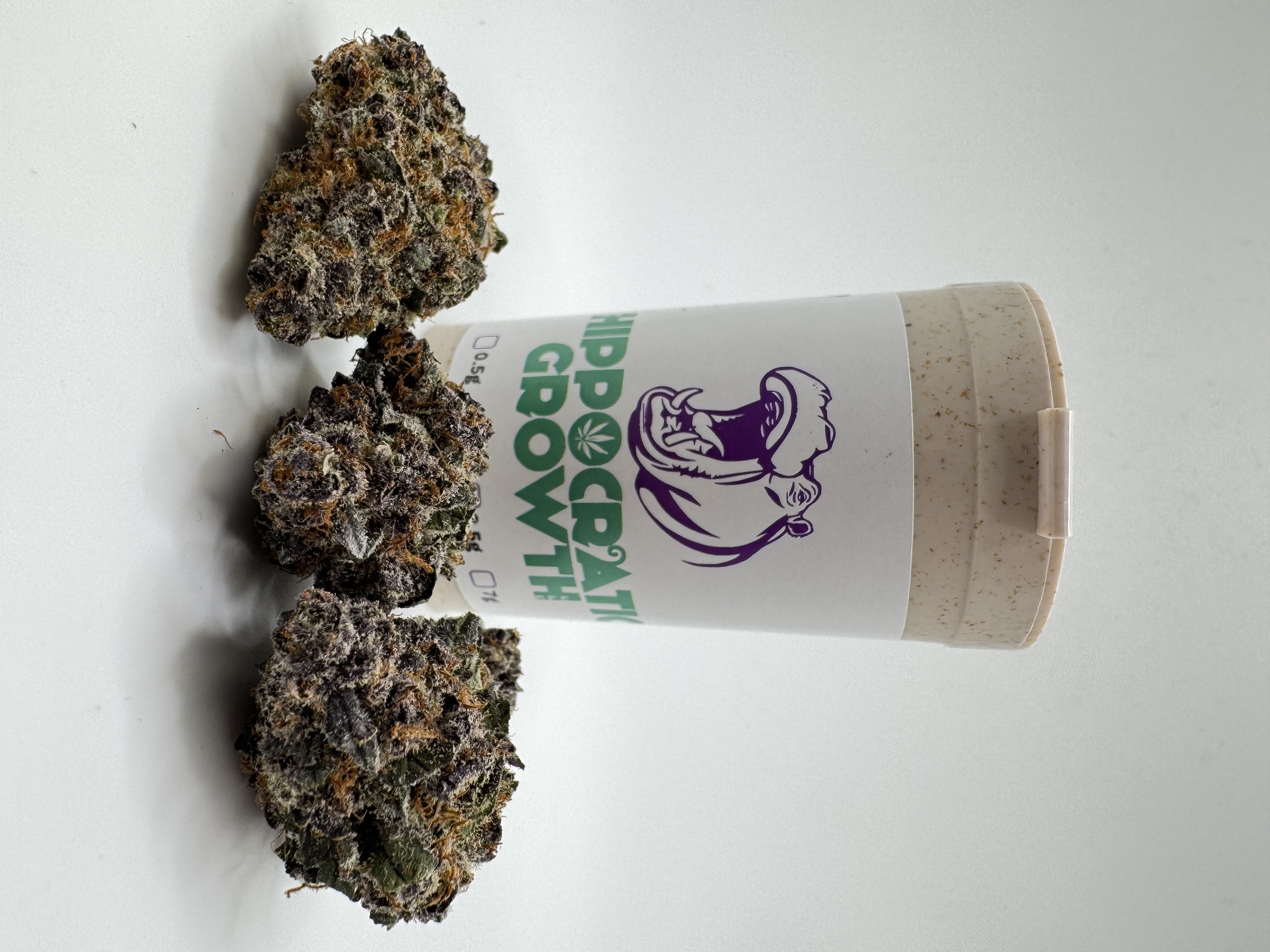 Tropicana Buckeye Flower