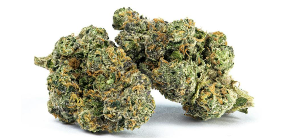Cookies - Cherry Mellow