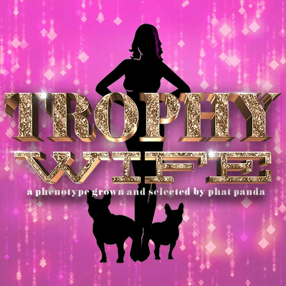 SNICKLEFRITZ FLOWER - TROPHY WIFE