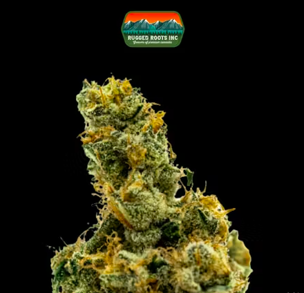 RuggedRoots - GMO - 1g - I