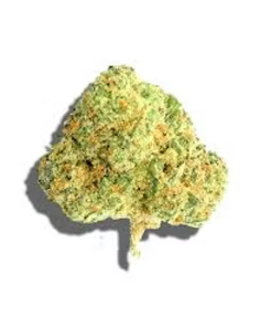 Orange Candy | Franklin Fields
