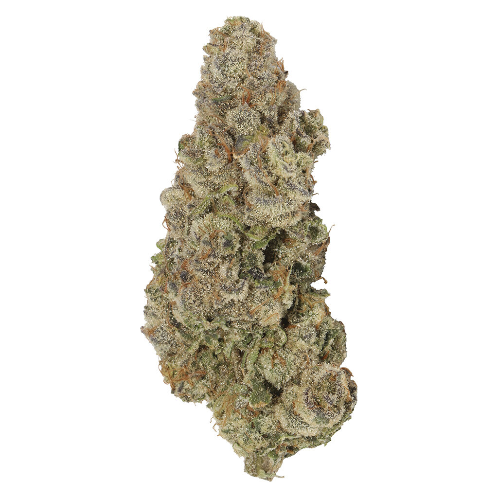 Carmel - Envy - Thin Mint Jealousy x Permanently Jealousy - 3.5g