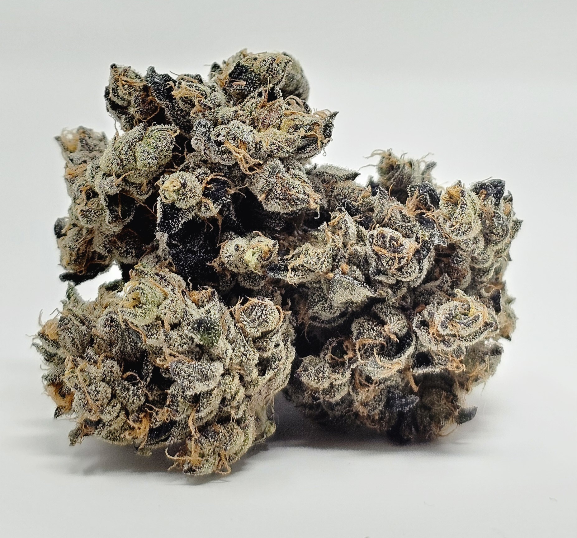 Gas Face [DOH] - by DogHouse