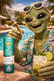 Garden State Exotic | Blunt | Mint Couture | Indica | 1G