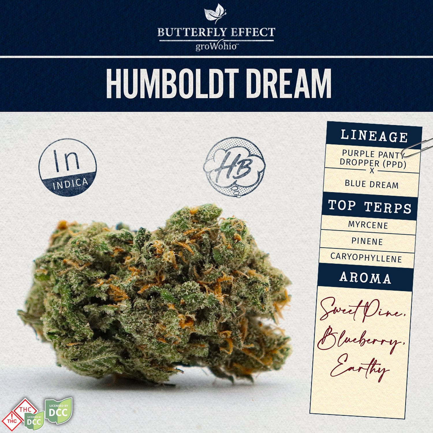 Butterfly Effect - Humboldt Dream - Flower - 3.5g