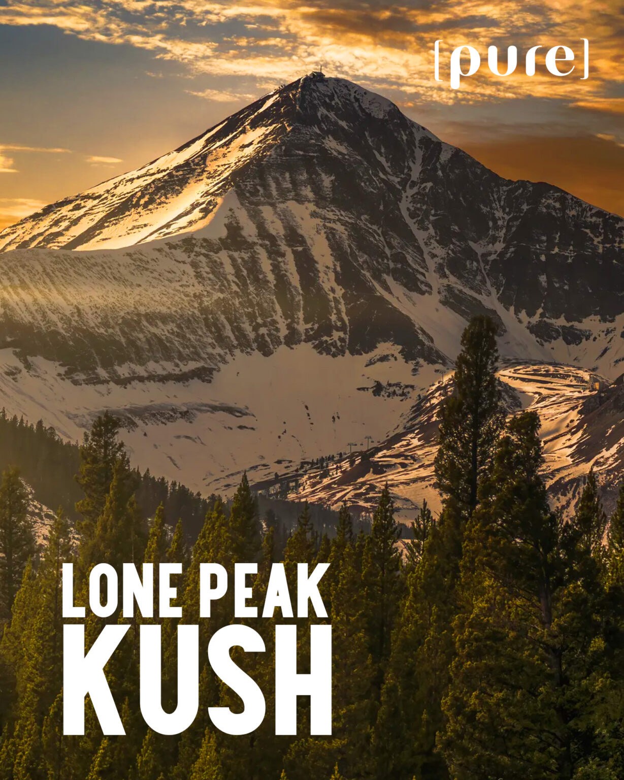 Lone Peak Kush