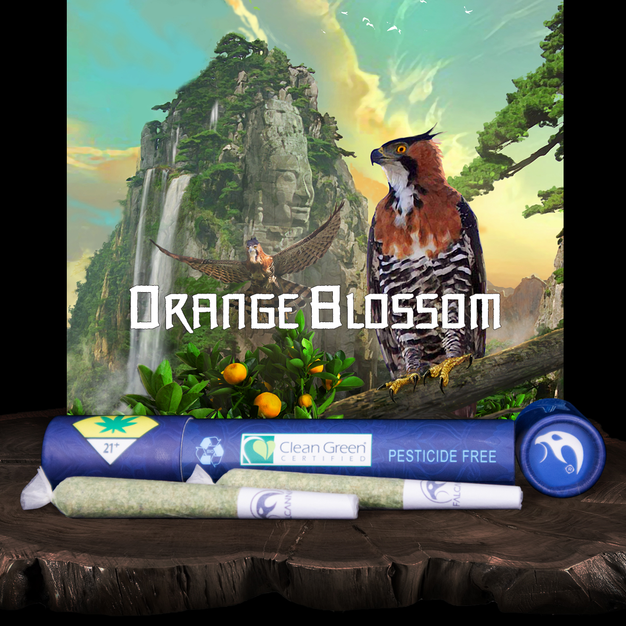 FALCANNA - Orange Blossom Pre-Roll 2-pack | 1.2g