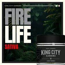 Fire Life | S