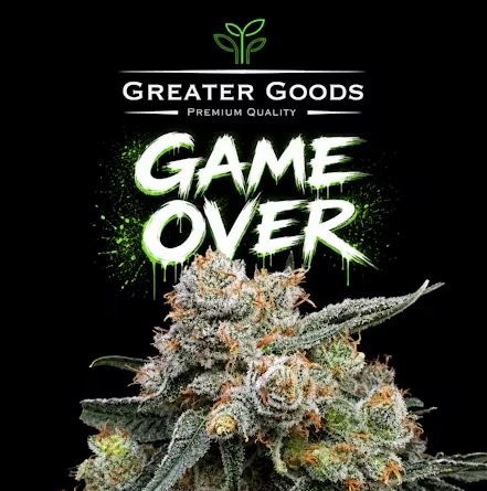 Game Over
