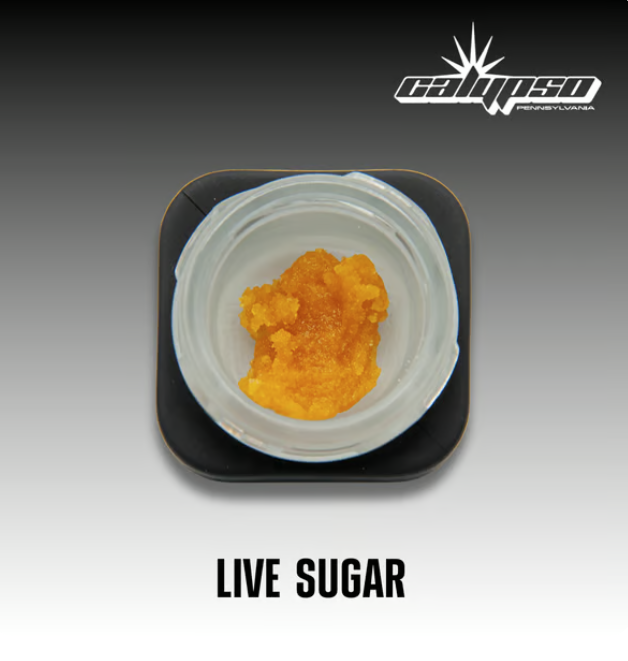 Lemon Queen Live Sugar