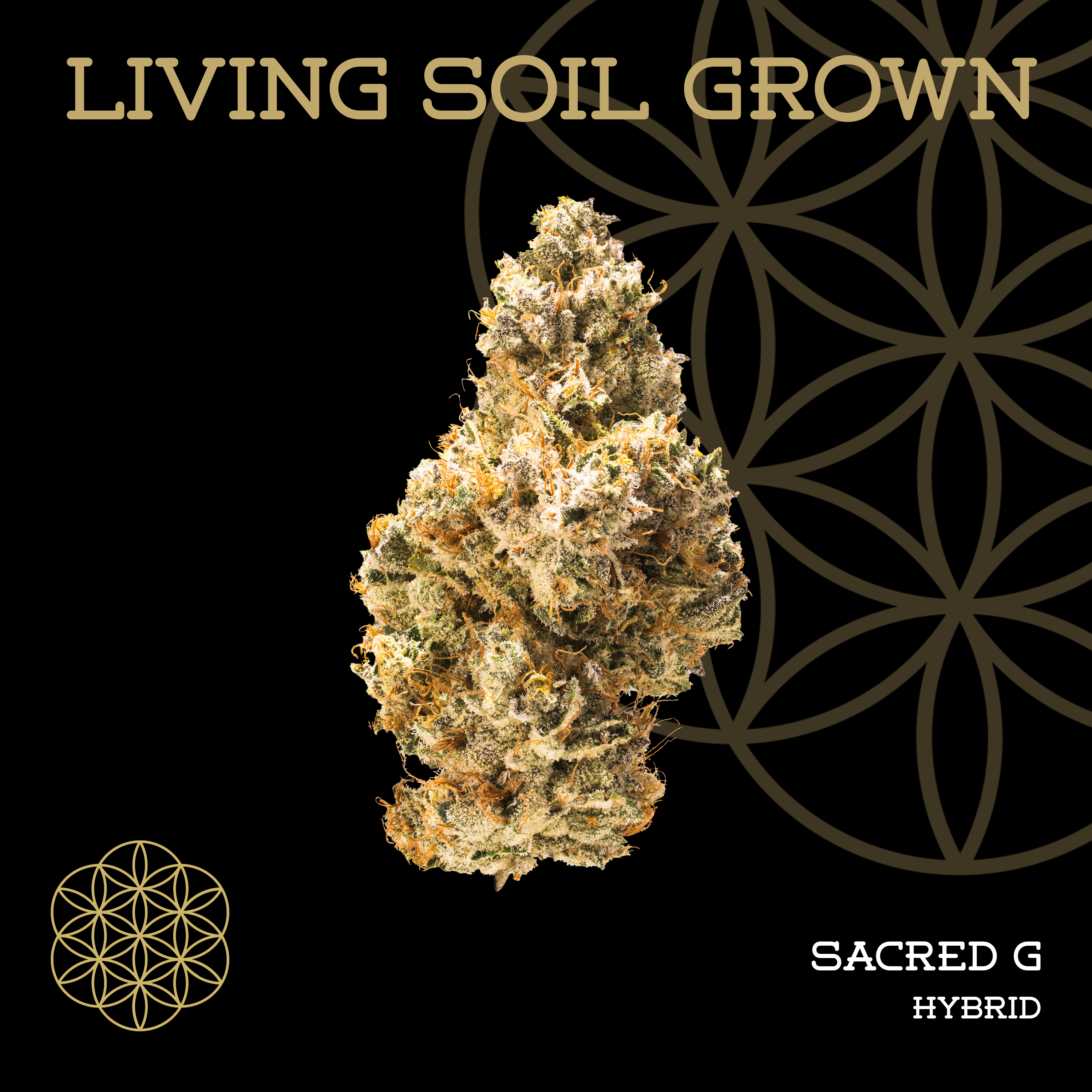 Living Soil | Sacred G | Bulk Deli